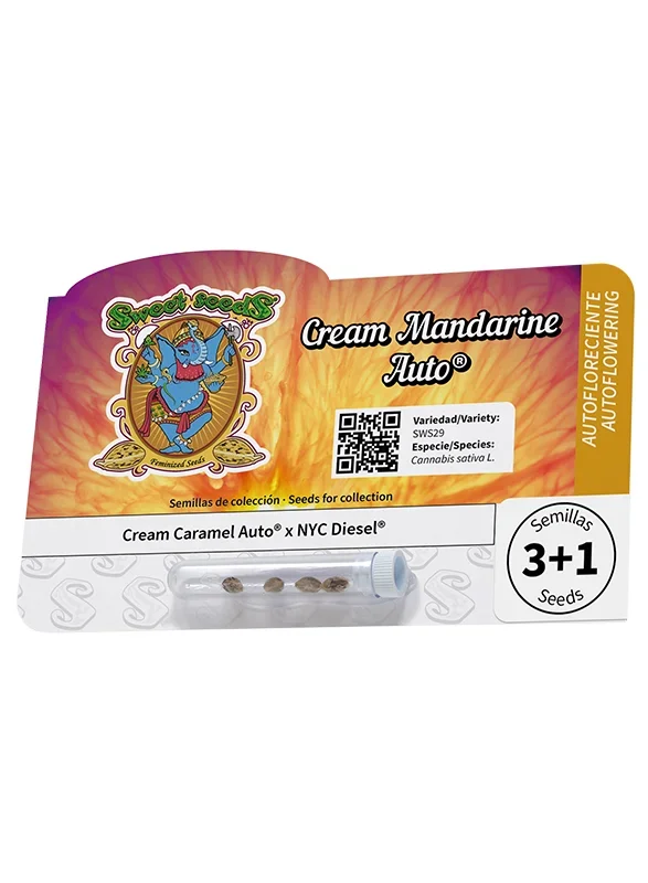 Cream Mandarine van Sweet Seeds