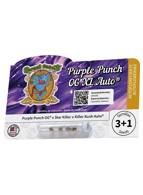 Purple Punch OG XL van Sweet Seeds