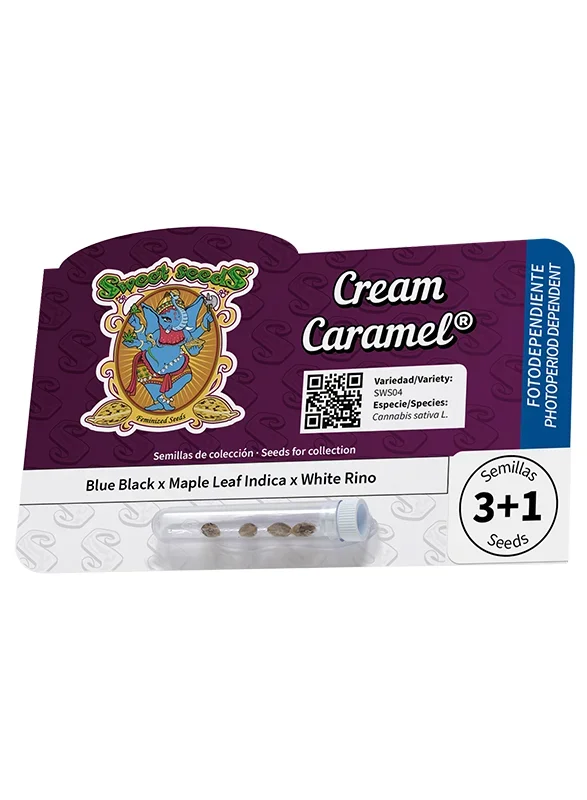 Cream Caramel van Sweet Seeds