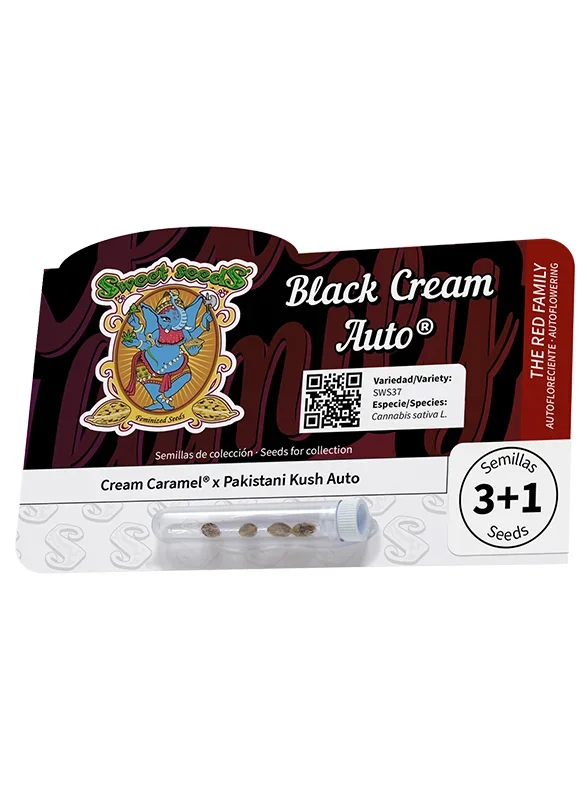 Black Cream van Sweet Seeds