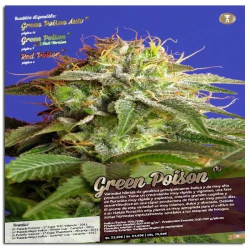 Green Poison Fast Version van Sweet Seeds