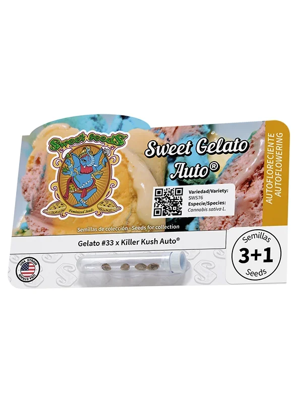 Sweet Gelato van Sweet Seeds