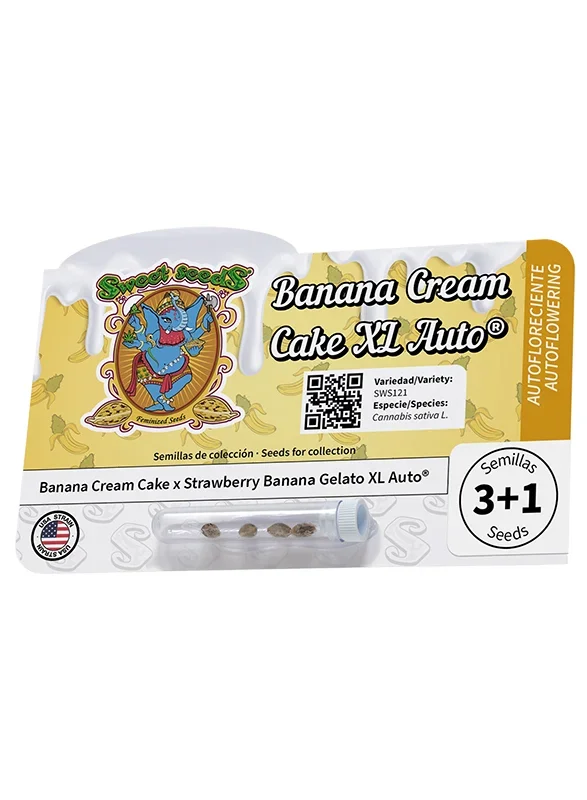 Banana Cream Cake XL van Sweet Seeds