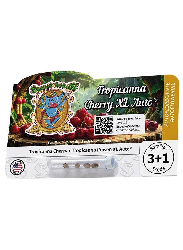Tropicanna Cherry XL van Sweet Seeds