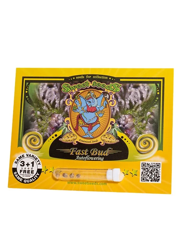 Fast Bud van Sweet Seeds