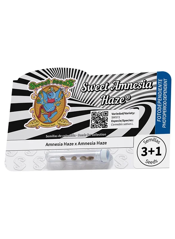Sweet Amnesia Haze van Sweet Seeds