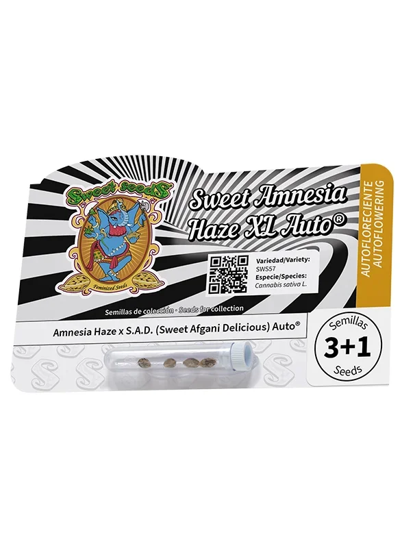 Sweet Amnesia Haze XL van Sweet Seeds