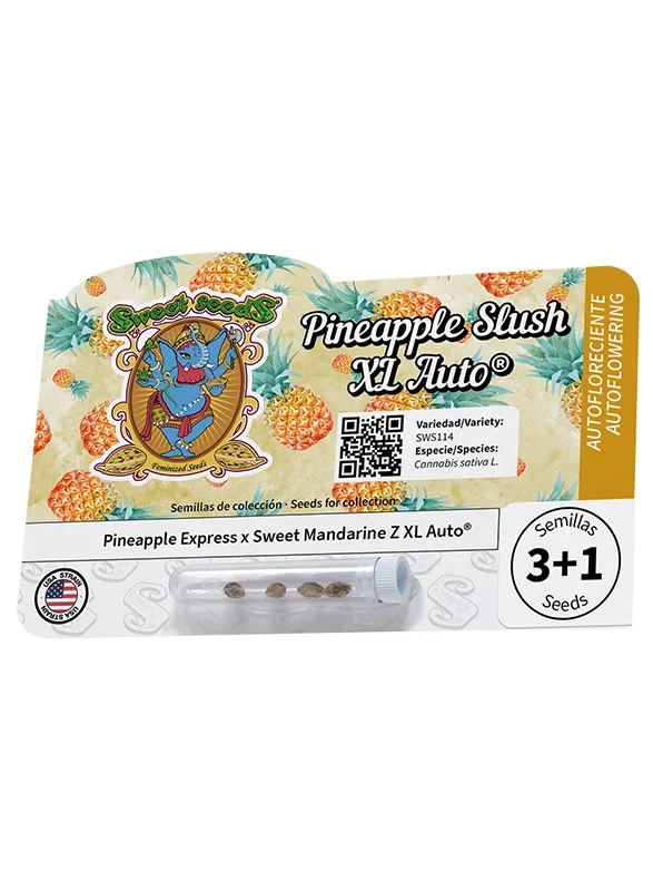 Pineapple Slush XL van Sweet Seeds