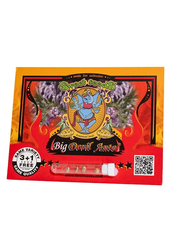 Big Devil van Sweet Seeds