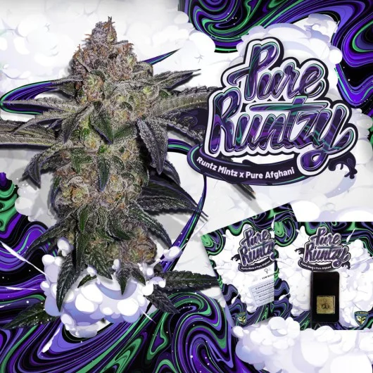 Pure Runtzy van T.H.Seeds