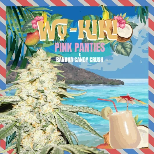 Wy-Kiki van T.H.Seeds