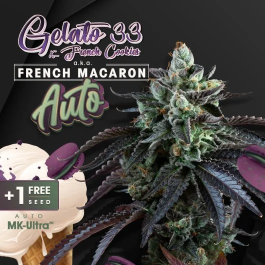 French Macaron van T.H.Seeds