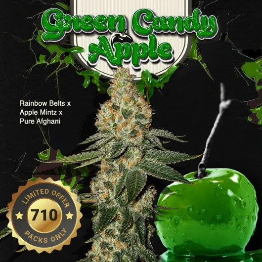 Green Candy Apple van T.H.Seeds