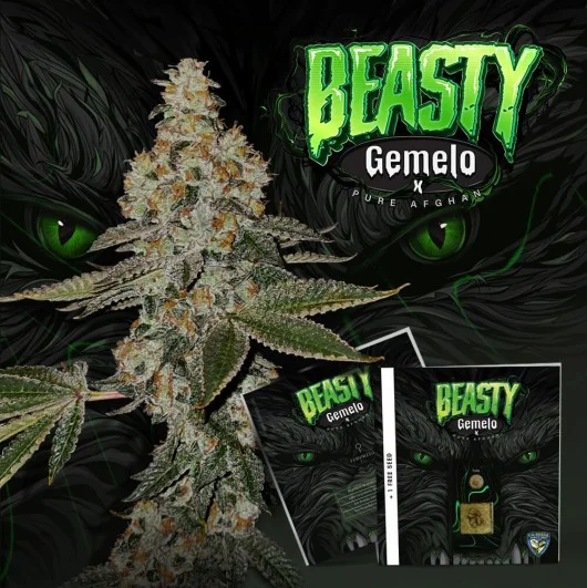 Beasty van T.H.Seeds