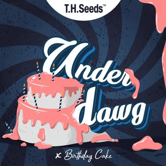 Underdawg X BC X SBC van T.H.Seeds