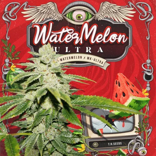 WaterMelon Ultra van T.H.Seeds