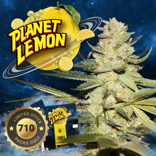 Planet Lemon van T.H.Seeds