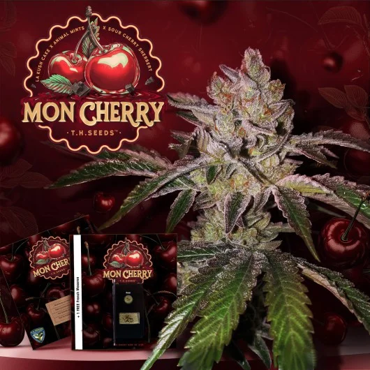 Mon Cherry van T.H.Seeds