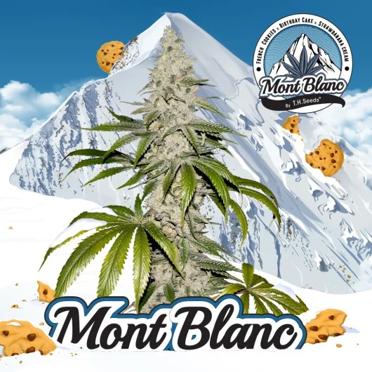 Mont Blanc van T.H.Seeds