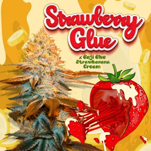 Strawberry Glue van T.H.Seeds