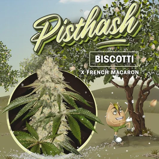 Pisthash van T.H.Seeds