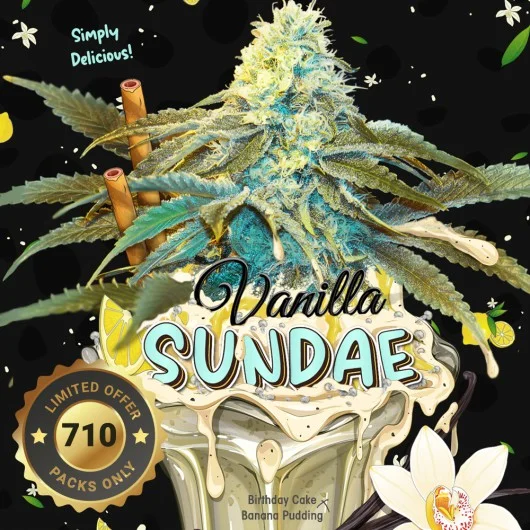 Vanilla Sundae van T.H.Seeds