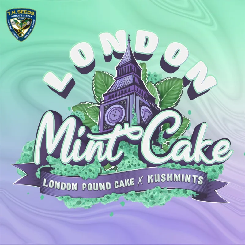 London Mint Cake van T.H.Seeds