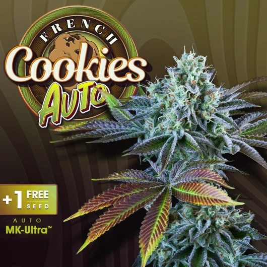 French Cookies van T.H.Seeds