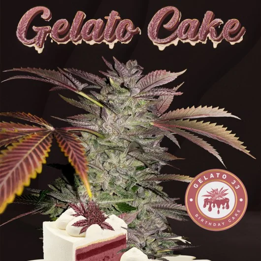 Gelato Cake van T.H.Seeds