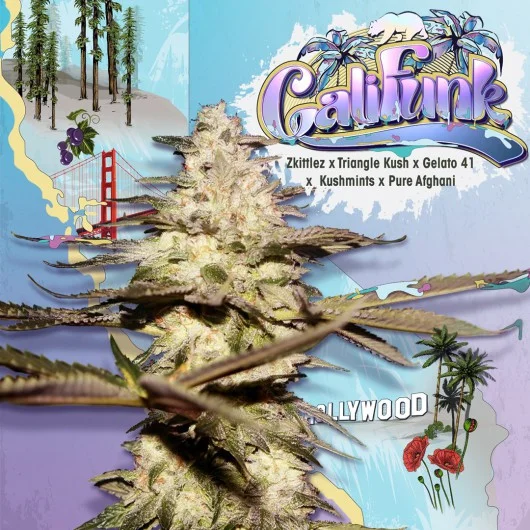 CaliFunk van T.H.Seeds