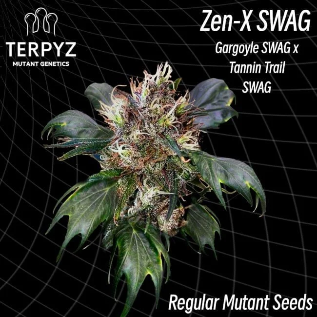 Zen-X SWAG van TerpyZ Mutant Genetics