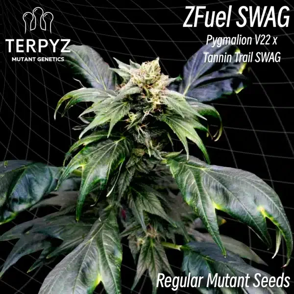 Zfuel SWAG van TerpyZ Mutant Genetics