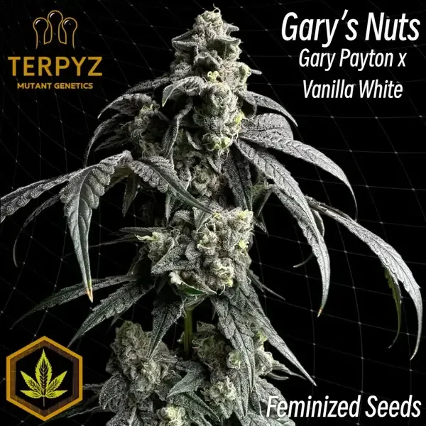 Garys Nuts van TerpyZ Mutant Genetics