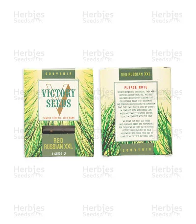 Red Russian XXL van Victory Seeds