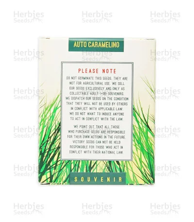Caramelino van Victory Seeds