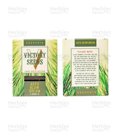 Blow Dream van Victory Seeds