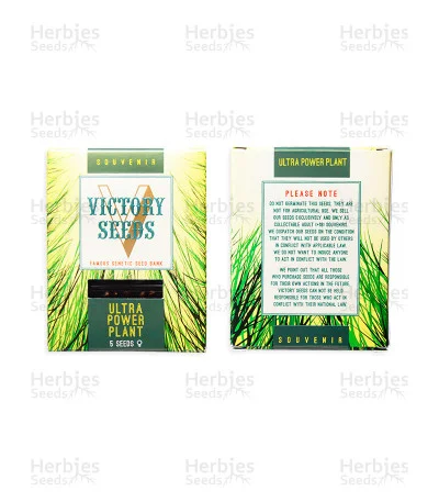 Ultra Power Plant van Victory Seeds