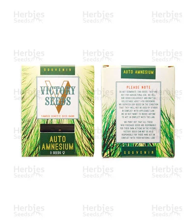 Amnesium van Victory Seeds