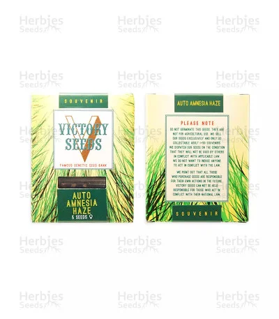Amnesia Haze van Victory Seeds