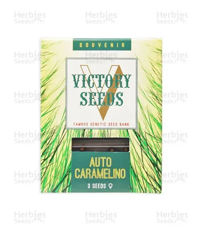 Caramelino van Victory Seeds