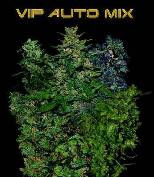 VIP Mix van VIP Seeds