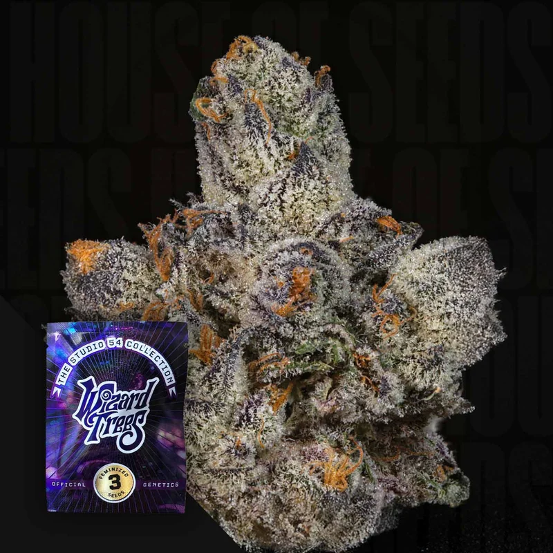 Lemon Fever van Wizard Trees