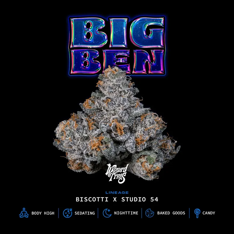 Big Ben van Wizard Trees