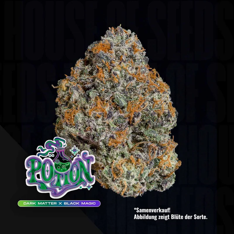 Potion van Wizard Trees