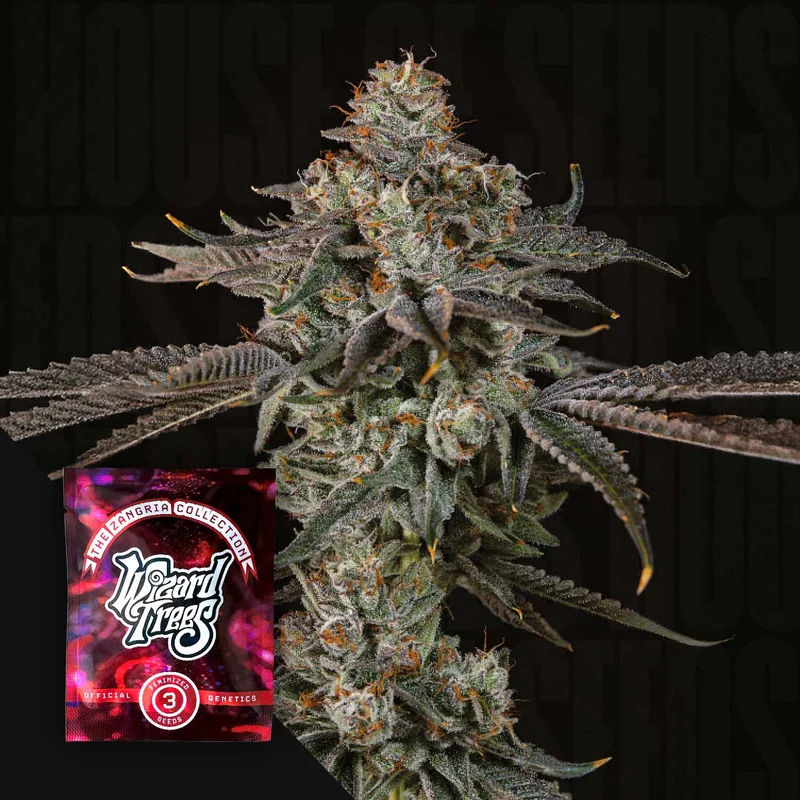 Gas Gimlet van Wizard Trees