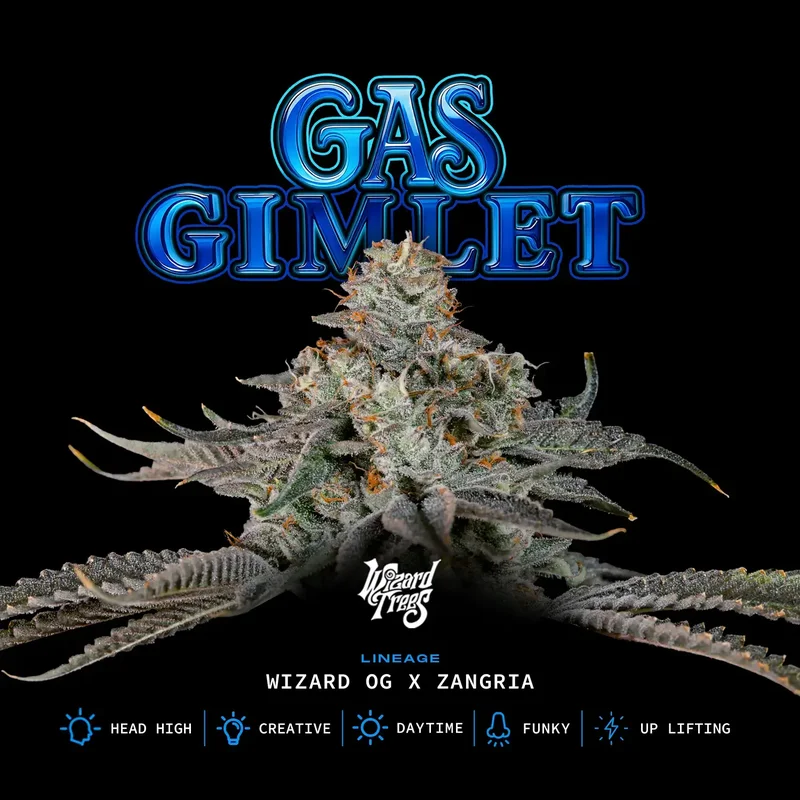 Gas Gimlet van Wizard Trees