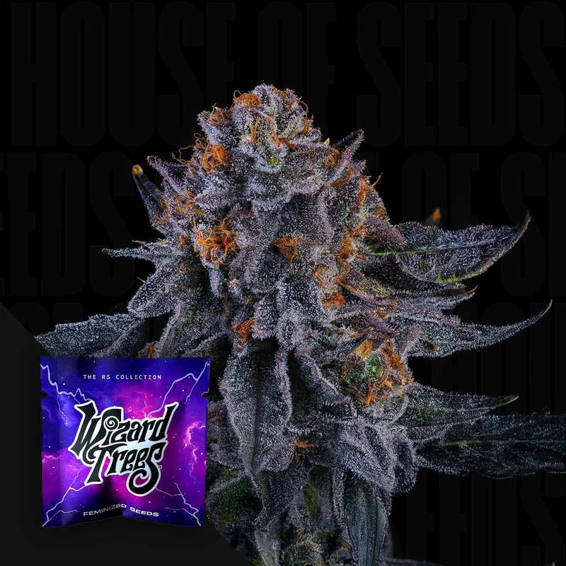 Wizard Fuel van Wizard Trees