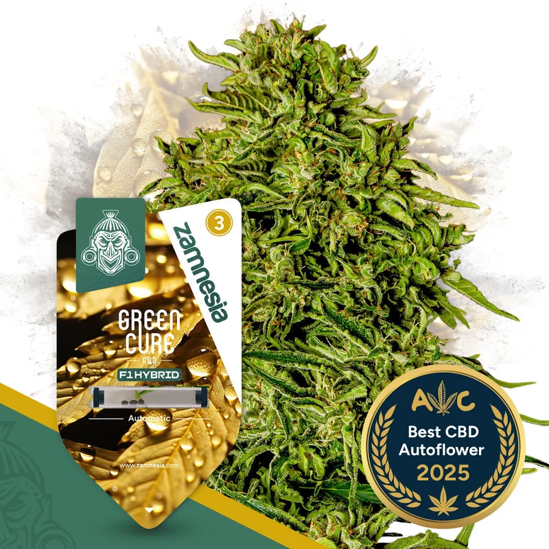 Green Cure CBD F1 van Zamnesia Seeds