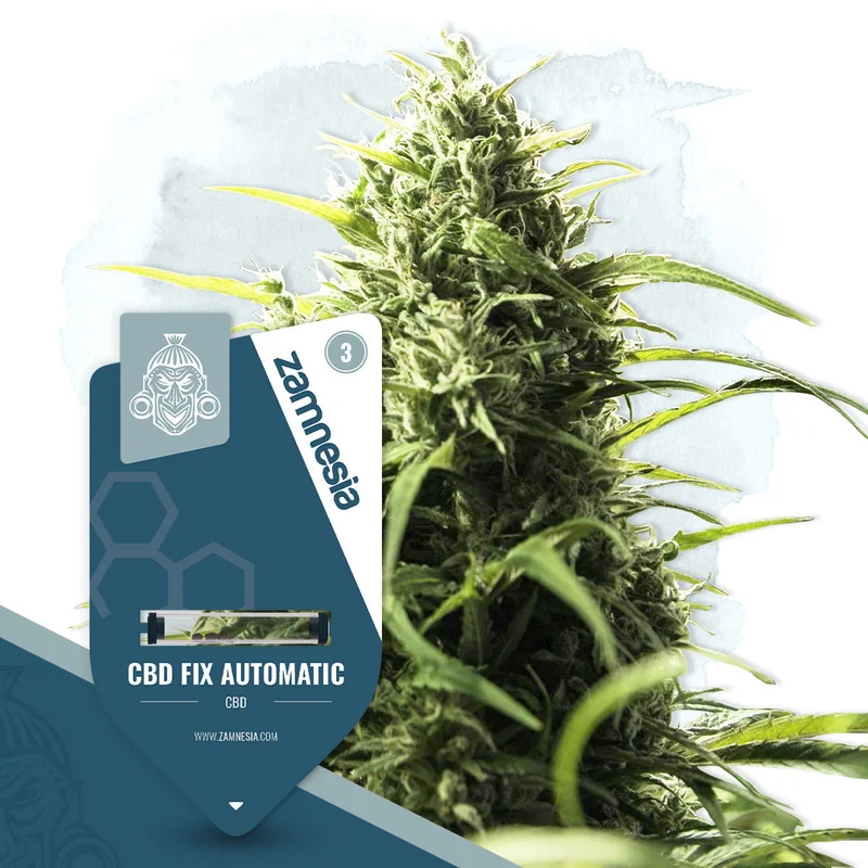 CBD Fix van Zamnesia Seeds