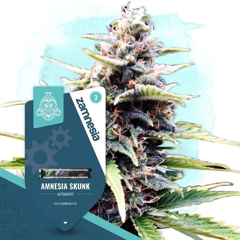 Amnesia Skunk van Zamnesia Seeds